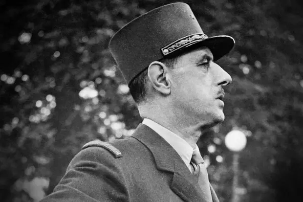 Pierre De Gaulle Petit-Fils Biographie