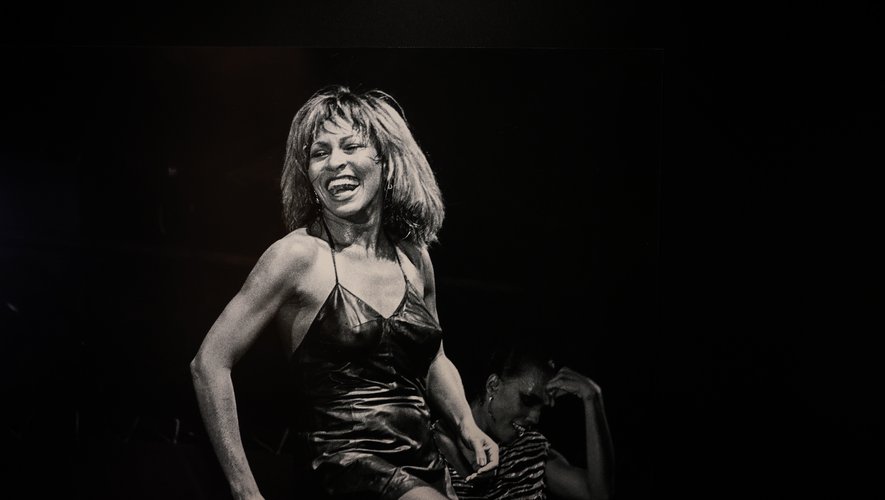 Maladie De Tina Turner 