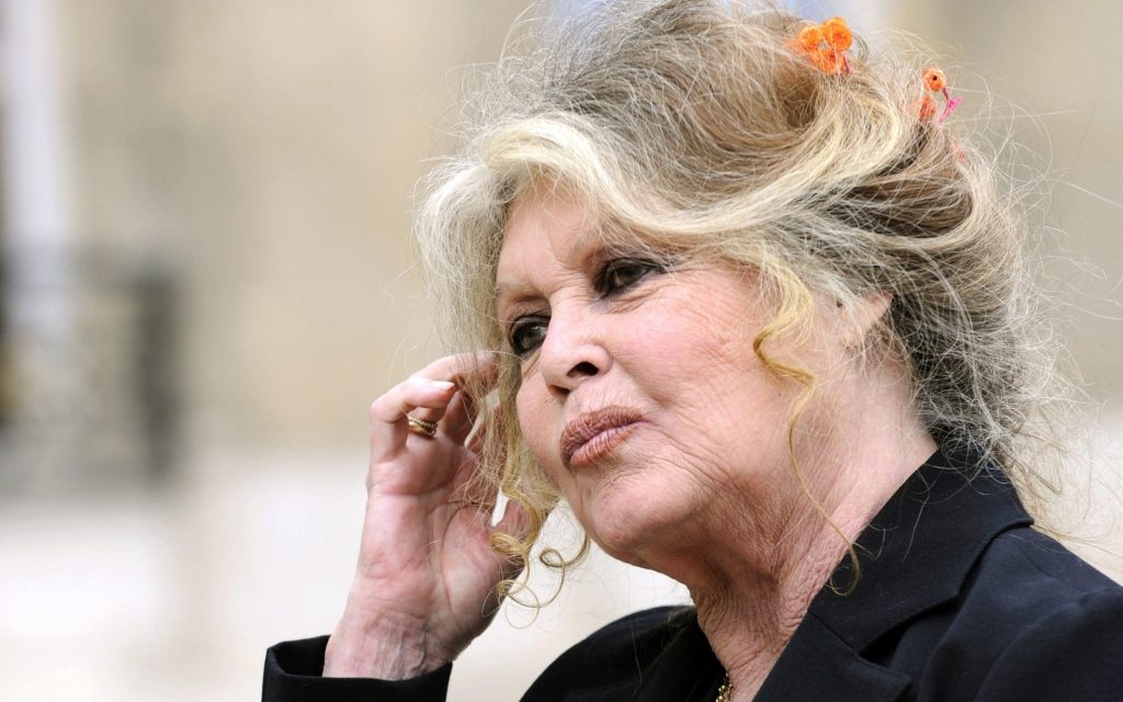 Pere Enfant Brigitte Bardot Pere Enfant Brigitte Bardot